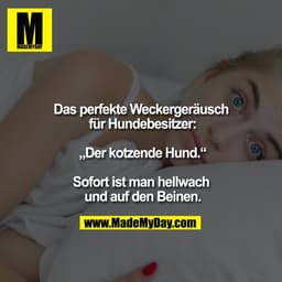 Das perfekte Weckergeräusch für Hundebesitzer:

"Der kotzende Hund."

Sofort ist man hellwach und auf den Beinen.