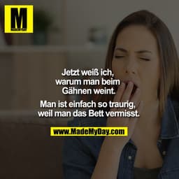 Jetzt weiß ich, warum man beim Gähnen weint.
Man ist einfach so traurig, weil man das Bett vermisst.