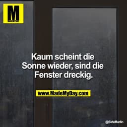 Kaum scheint die Sonne wieder, sind die Fenster dreckig.