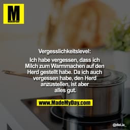 "Vergesslichkeitslevel: 
Ich habe vergessen, dass ich Milch zum Warmmachen auf den Herd gestellt habe. Da ich auch verge