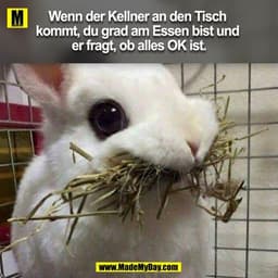 Wenn der Kellner an den Tisch kommt, du grad am Essen bist und er fragt, ob alles OK ist.