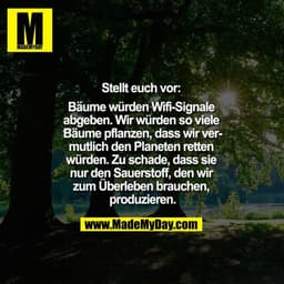 Stellt euch vor: Bäume würden Wifi-Signale abgeben, wir würden so viele Bäume pflanzen, dass wir vermutlich den Planeten