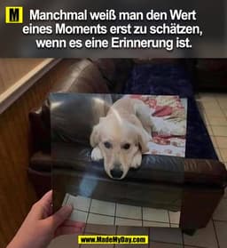Manchmal weiß man den Wert eines Momentes erst zu schätzen, wenn es eine Erinnerung ist.