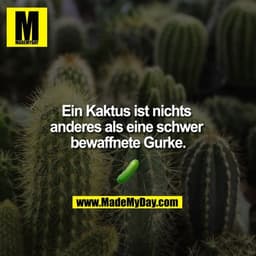 Ein Kaktus ist nichts anderes als eine schwer bewaffnete Gurke
