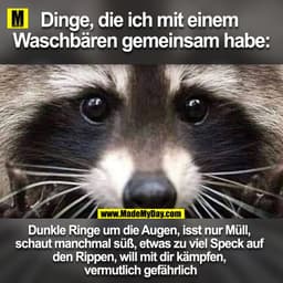 Dinge, die ich mit einem Waschbären gemeinsam habe

Dunkle Ringe um die Augen, isst nur Müll, schaut manchmal süß, etwas