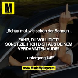 „Schau mal wie schön der Sonnen... FAHR DU VOLLIDIOT, SONST ZIEH`ICH DICH AUS DEINEM VERDAMMTEN AUDI ....untergang ist!“