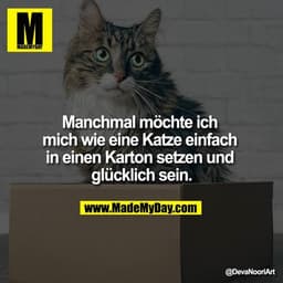 Manchmal möchte ich mich wie eine Katze einfach in einen Karton setzen und glücklich sein.
