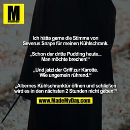 Ich hätte gerne die Stimme von Severus Snape für meinen Kühlschrank.

„Schon der dritte Pudding heute... Man möchte brec