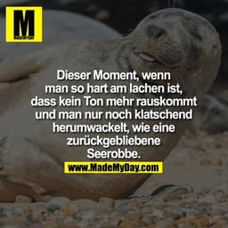 Dieser Moment, wenn man so hart am lachen ist, dass kein Ton mehr rauskommt und man nur noch klatschend herumwackelt, wi