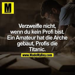 Verzweifle nicht, wenn du kein Profi bist. Ein Amateur hat die Arche gebaut, Profis die Titanic.