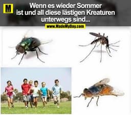 Wenn es wieder Sommer
ist und all diese lästigen Kreaturen
unterwegs sind...
