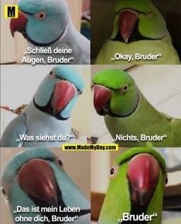 „Schließ deine Augen, Bruder“
„Okay, Bruder“
„Was siehst du?“
„Nichts, Bruder“
„Das ist mein Leben
 ohne dich, Bruder“
„