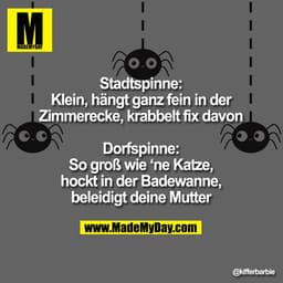 Stadtspinne:
Klein, hängt ganz fein in der Zimmerecke, krabbelt fix davon

Dorfspinne:
So groß wie 'ne Katze, hockt in d