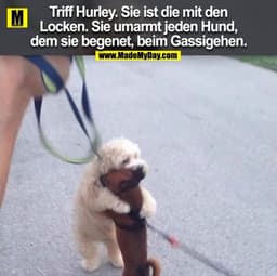 Triff Hurley. Sie ist die mit den
Locken. Sie umarmt jeden Hund,
dem sie begenet, beim Gassigehen.