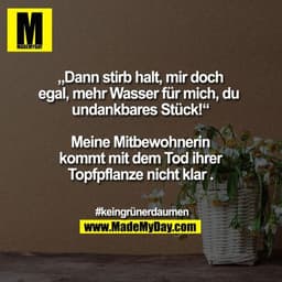 „Dann stirb halt, mir doch
egal, mehr Wasser für mich, du 
undankbares Stück!“

Meine Mitbewohnerin
kommt mit dem Tod ih