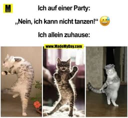 Ich auf einer Party:
„Nein, ich kann nicht tanzen!“ ?
Ich allein zuhause:
