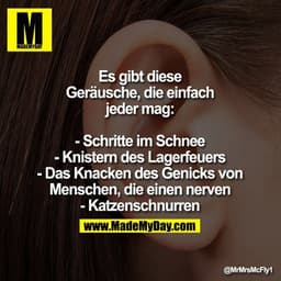 Es gibt diese Geräusche, die einfach jeder mag:

- Schritte im Schnee
- Knistern des Lagerfeuers
- Das Knacken des Genic