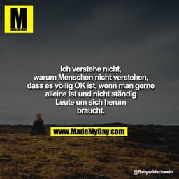 Ich verstehe nicht, warum Menschen nicht verstehen, dass es völlig OK ist, wenn man gerne alleine ist und nicht ständig 