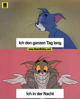 Ich den ganzen Tag lang

Ich in der Nacht