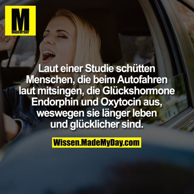 Laut einer Studie schütten Menschen, die beim Autofahren laut mitsingen, die Glückshormone Endorphin und Oxytocin aus, …