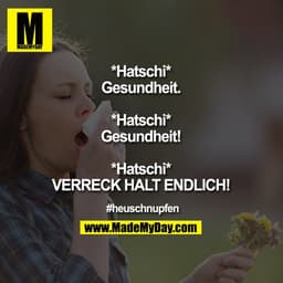 *Hatschi*
Gesundheit.

*Hatschi*
Gesundheit!

*Hatschi*
VERRECK HALT ENDLICH!

#heuschnupfen