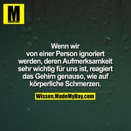 Wenn wir
von einer Person ignoriert
werden, deren Aufmerksamkeit
sehr wichtig für uns ist, reagiert
das Gehirn genauso, 