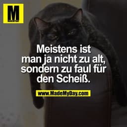Meistens ist man ja nicht zu alt, sondern zu faul für den Scheiß.