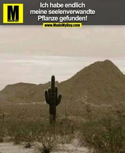 Ich habe endlich
meine Seelenverwandte
Pflanze gefunden!
