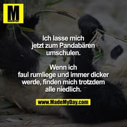 Ich lasse mich jetzt zum Pandabären umschulen. Wenn ich faul rumliege und immer dicker werde, finden mich trotzdem alle 
