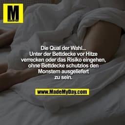 Die Qual der Wahl...
Unter der Bettdecke vor Hitze verrecken oder das Risiko eingehen, ohne Bettdecke schutzlos den Mons