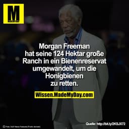 Morgan Freeman hat seine 124 Hektar große Ranch in ein Bienenreservat umgewandelt, um die Honigbienen zu retten.