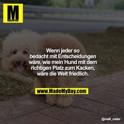 Wenn jeder so bedacht
mit Entscheidungen
wäre, wie mein Hund
mit dem richtigen
Platz zum Kacken,
wäre die Welt friedlich