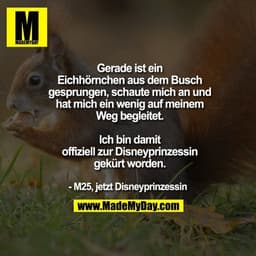 Gerade ist ein
Eichhörnchen aus dem Busch
gesprungen, schaute mich an und
hat mich ein wenig auf meinem
Weg begleitet.

