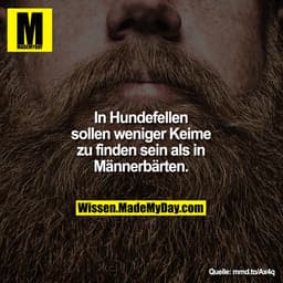 In Hundefellen sollen
weniger Keime zu finden sein als
in Männerbärten.