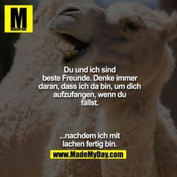 Du und ich sind beste Freunde.
Denke immer daran, dass ich da bin, um dich aufzufangen, wenn du fällst

...nachdem ich m