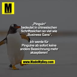 „Pinguin“
bedeutet in chinesischen
Schriftzeichen so viel wie
„Business Gans“.

Ich werde für
Pinguine ab sofort keine
a