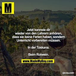 Jetzt kannste dir wieder von
den Lehrern anhören, dass
sie keine Ferien haben,
sondern Unterricht
vorbereiten.
In der To