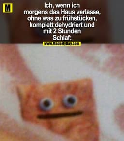 Ich, wenn ich
morgens das Haus verlasse,
ohne was zu frühstücken,
komplett dehydriert und
mit 2 Stunden
Schlaf: