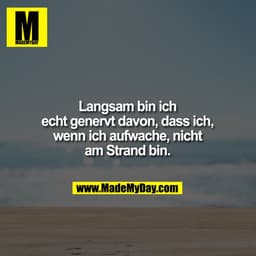 Langsam bin ich echt genervt davon, dass ich, wenn ich aufwache, nicht am Strand bin.