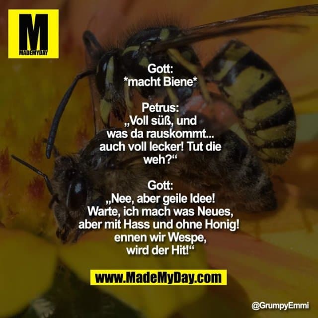 Gott:
*macht Biene*
Petrus:
„Voll süß, und
was da rauskommt...
auch voll lecker! Tut die
weh?“
Gott:
„Nee, aber geile Idee!
Warte, ich mach was Neues,
aber mit Hass und ohne Honig!
ennen wir Wespe,
wird der Hit!“ - Inspiration, Zitate & Sprüche | MadeMyDay | Jetzt entdecken & teilen Gott:
*macht Biene*
Petrus:
„Voll süß, und
was da rauskommt...
auch voll lecker! Tut die
weh?“
Gott:
„Nee, aber geile Idee!
Warte, ich mach was Neues,
aber mit Hass und ohne Honig!
ennen wir Wespe,
wird der Hit!“ - Inspirierendes Zitat mit Bild