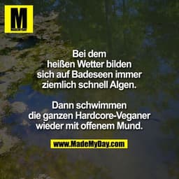 Bei dem heißen Wetter bilden sich auf Badeseen immer ziemlich schnell Algen.
Dann schwimmen die ganzen Hardcore-Veganer 