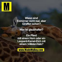 Wieso sind
Einhörner nicht real, aber
Giraffen schon?

Was ist glaubhafter?

Ein Pferd
mit einem Horn oder ein
Leopard-K