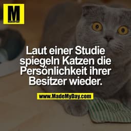 Laut einer Studie
spiegeln Katzen die
Persönlichkeit ihrer
Besitzer wieder.