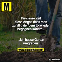 Die ganze Zeit
diese Angst, dass man
zufällig der/dem Ex wieder
begegnen könnte...
...ich hasse Garten
umgraben.