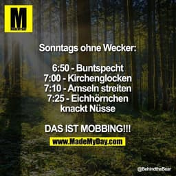 Sonntags ohne Wecker:
6:50 - Buntspecht
7:00 - Kirchenglocken
7:10 - Amseln streiten
7:25 - Eichhörnchen knackt Nüsse
DA