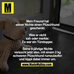 Mein Freund hat seiner Nichte einen Plüschhund geschenkt. Was er nicht sah oder merkte: Es war ein Türstopper.

Seine 4-