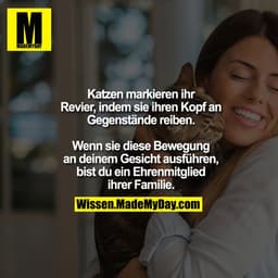 Katzen markieren ihr Revier, indem sie ihren Kopf an Gegenstände reiben.
Wenn sie diese Bewegung an deinem Gesicht ausfü