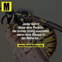 Jeder kennt diese eine Person, die immer völlig ausrastet, wenn eine Wespe in der Nähe ist...