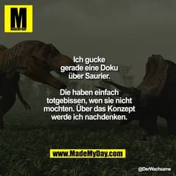 Ich gucke gerade eine Doku
über Saurier. Die haben einfach
totgebissen, wen sie nicht
mochten. Über das Konzept
werde ic