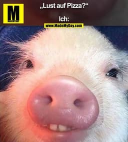 „Lust auf Pizza?“

Ich: